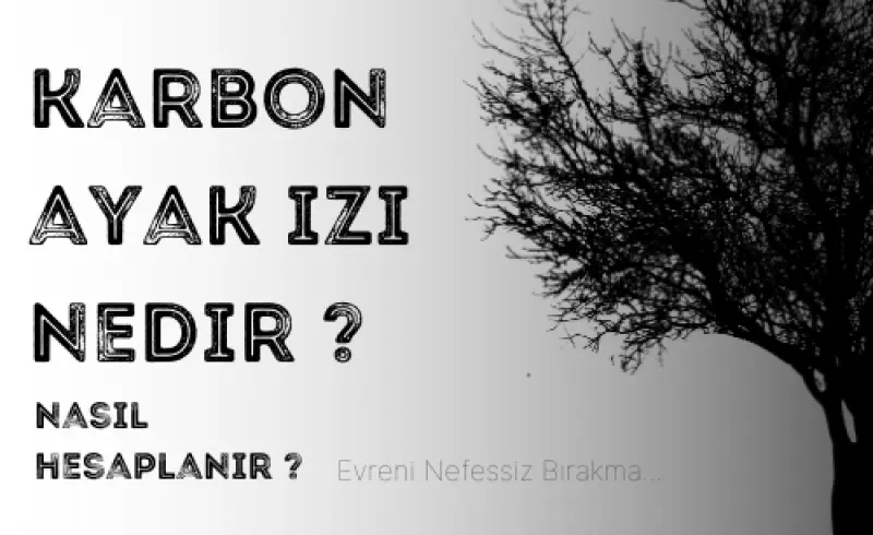 Karbon ayak izi nedir? Nasıl Hesaplanır ?
