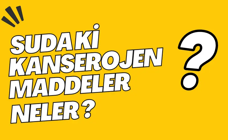 Suda Kanserojen Maddeler Var Mı? Arıtılmamış Su Kanser Riski